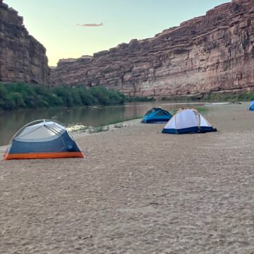 PiYo This Week: She Found Herself …