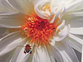 PiYo Monday: Everything In…