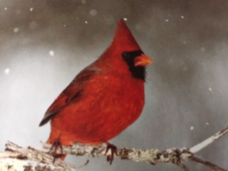 PiYo Thursday: What Are You Going To Do?