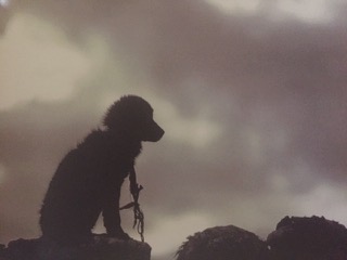 PiYo Thursday: Never Be In A Hurry …