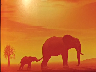 PiYo Tuesday: Protectors Of …