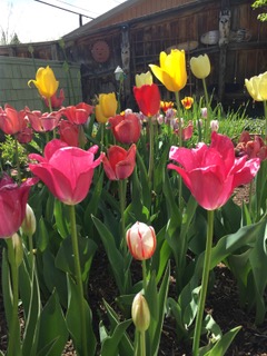 PiYo This Week: One Of The Things …
