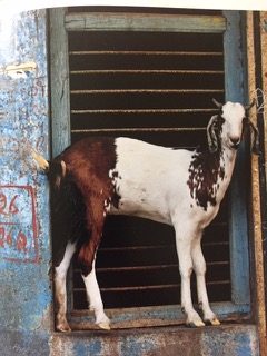 PiYo Tuesday: Life Calls …