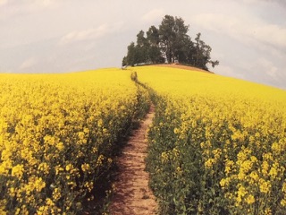 PiYo Tuesday: Love Itself …