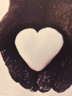 PiYo This Week:  In The Depth Of Winter …