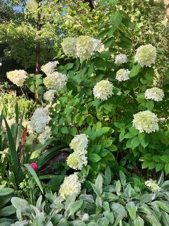 PiYo This Week:  Stand At The Crossroads …