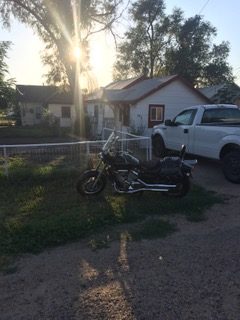 PiYo Monday: The Trees …