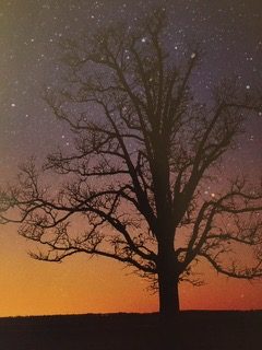 PiYo Monday: Softly Falls The Light …