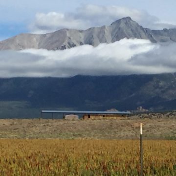 PiYo Monday: What Is …