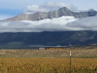 PiYo This Week:  Gentle Souls…