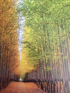 PiYo Monday: Smile, Breath …