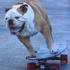 PiYo Thursday: We Must Always …