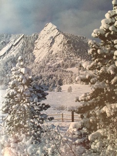 PiYo This Week:  The Divine …