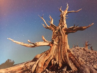 PiYo Monday: Once The Storm …