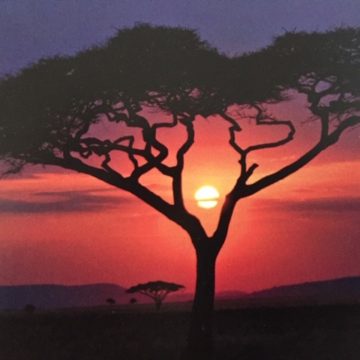 PiYo Monday: I Think …