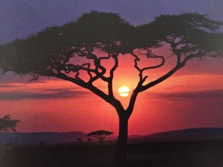 PiYo Monday: The Bright Field …