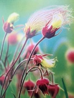 PiYo Thursday: Break Open …