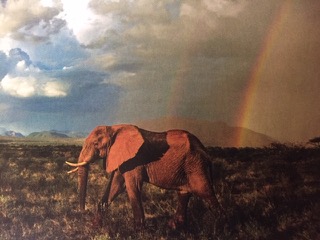 PiYo Thursday: You Are Born Gentle …